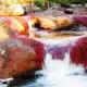 Радужная река Каньо Кристалес (Cano Cristales), Колумбия «Жидкая радуга» недалеко от Ла-Макарены